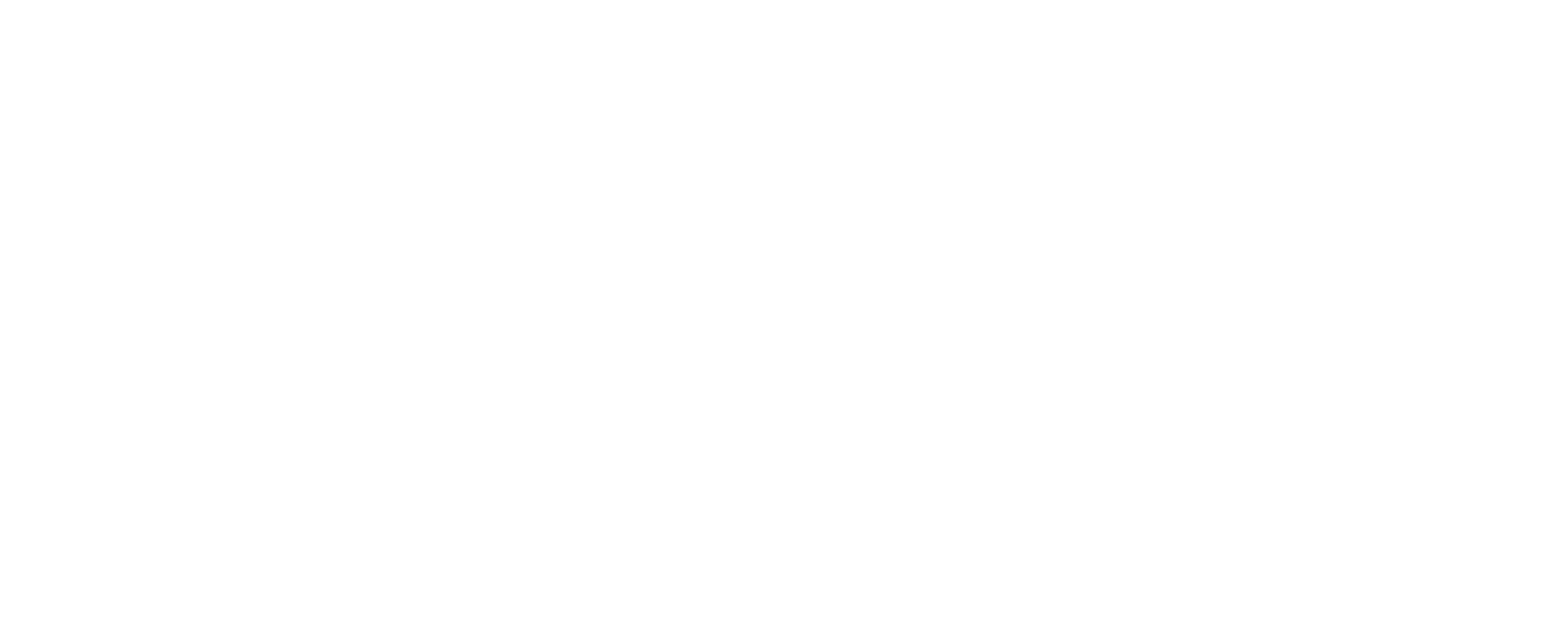 Balena Logo